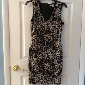 Leopard v neck dress